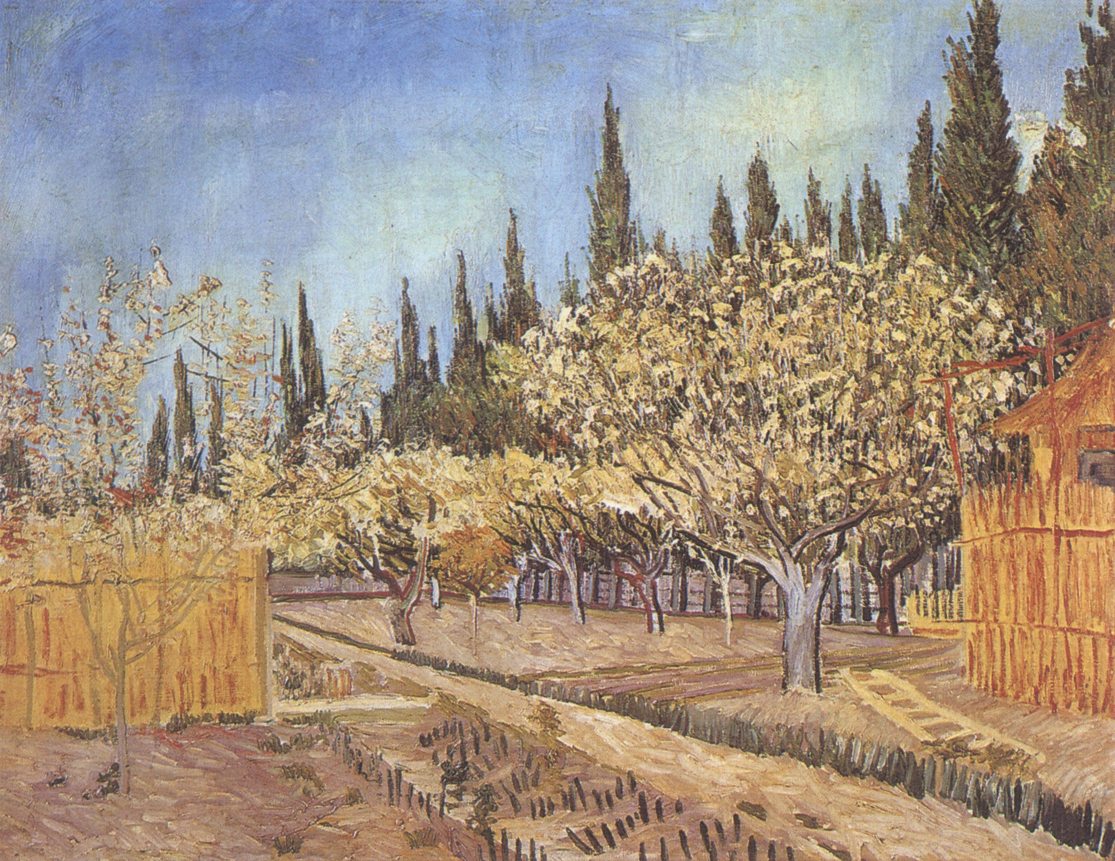 444 Flowering Orchards surrounded by Cypress Arles 1888 • Image Album
