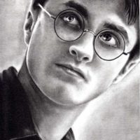 Harry Potter - the boy who lived by Shine Chacko